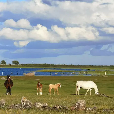 Gospodarstwo agroturystyczne Tika