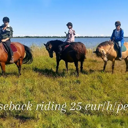 Tika Gospodarstwo agroturystyczne *