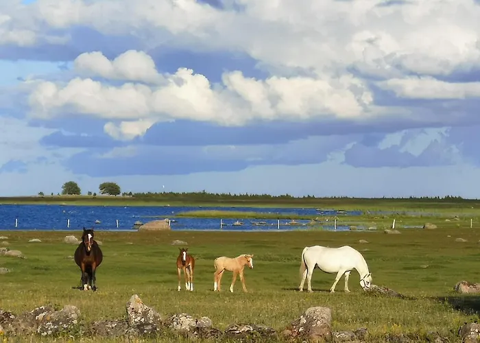 ファームステイ Tika