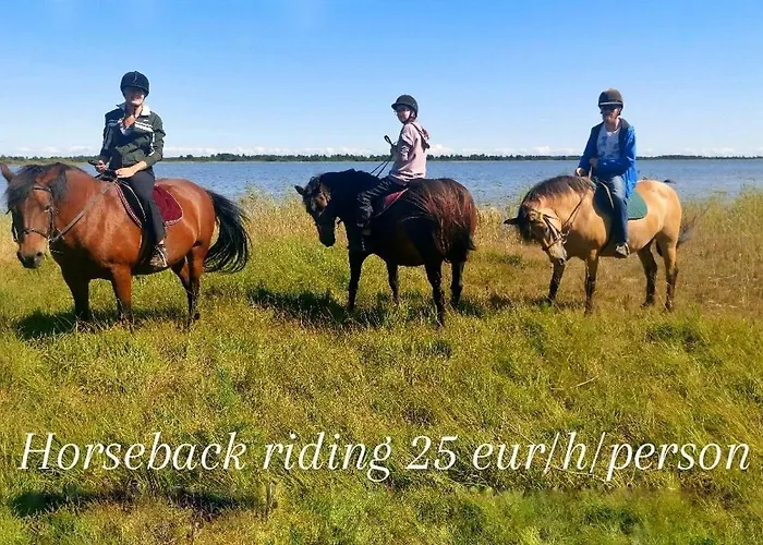 Tika Farmstay Farm stay *